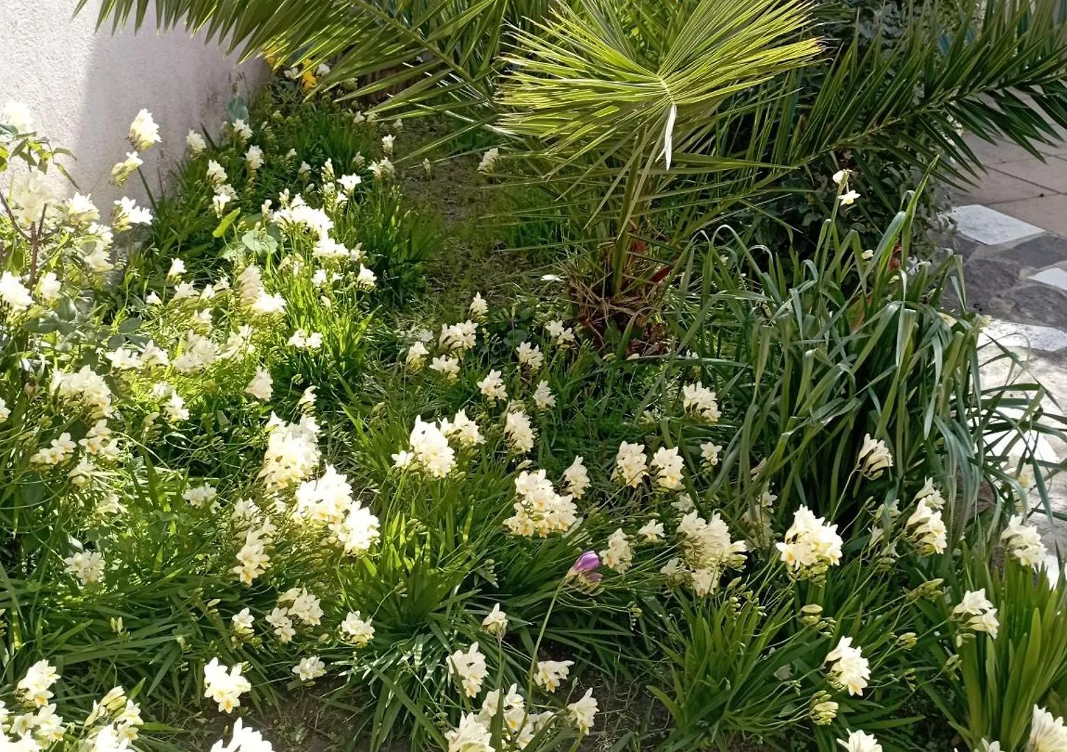 奥罗塞伊Casa Saba Lupino公寓 公寓 奥罗塞伊